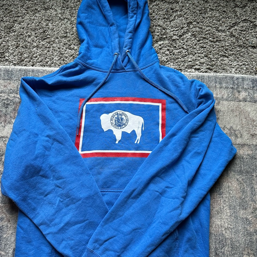 Blue Hoodie with Buffalo Graphic (Wyoming state flag)